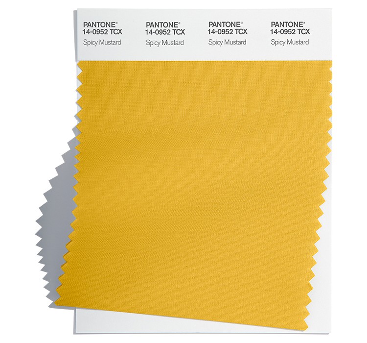 PANTONE 14-0952TCX